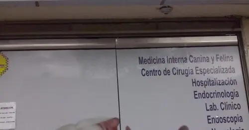 CLINICA VETERINARIA SALUD ANIMAL LA ESPERANZA SUR CLINICA VETERINARIA SALUD ANIMAL LA ESPERANZA SUR